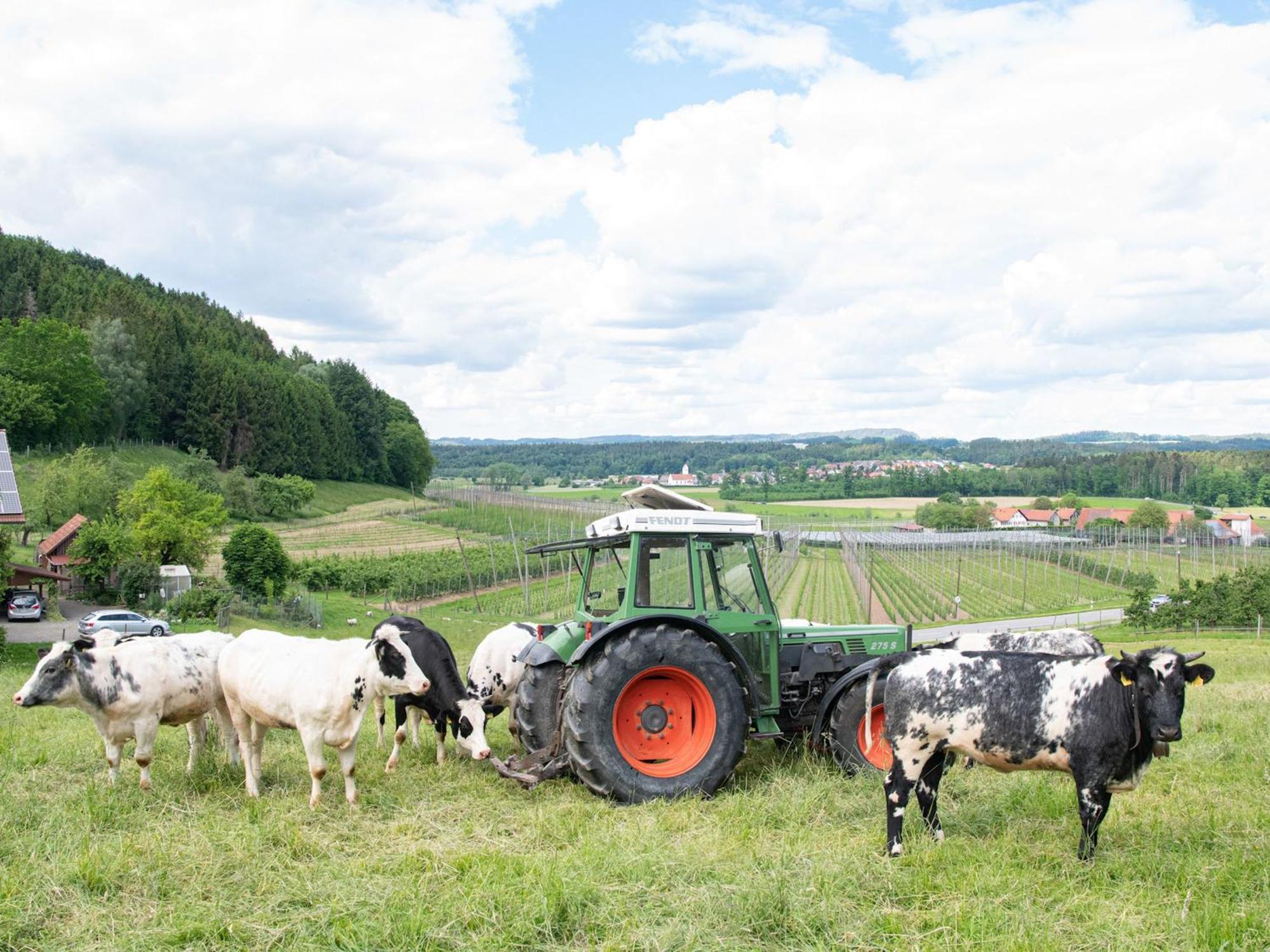 Ferienhof Biegger Tettnang Luaran gambar